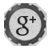 Google Plus